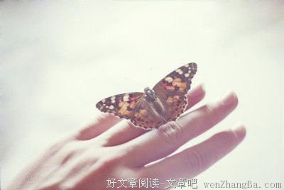 有关陈文茜的美文美句摘抄