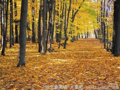 拾一抹秋意而生