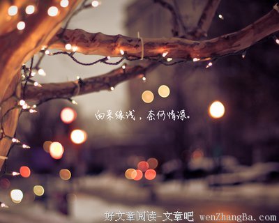 最全的《何以笙箫默》经典语录