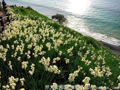 女英的句子_关于女英的句子