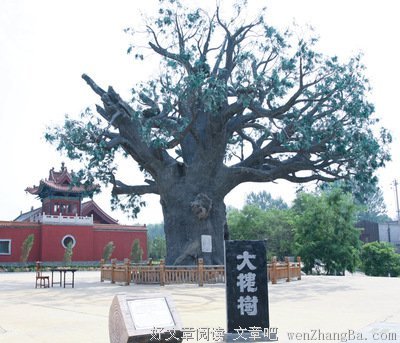 爱情带来的心情随笔