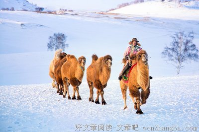 关于吉亚的格言