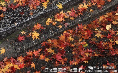 关于懒散名言名句