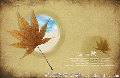 2017秋叶一雨的名言名句