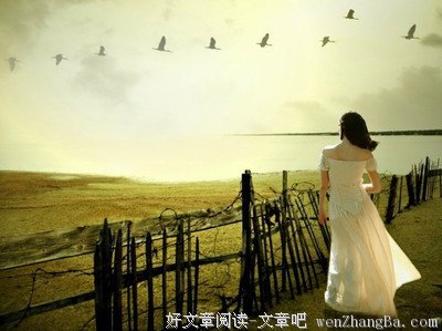 最全的《天涯客》小说句子