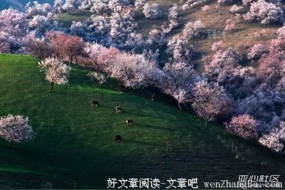 千里之堤的句子_关于千里之堤的句子