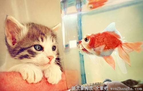 你那么好，不欺负你欺负谁？