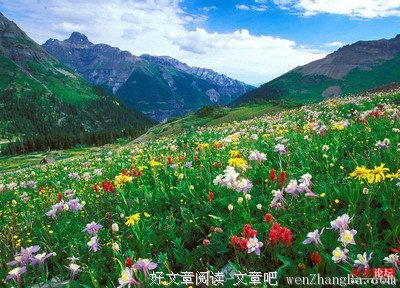 关于杂乱无章名言名句