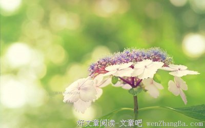 侥幸的句子