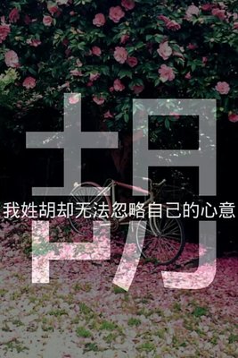 关于善言的唯美句子
