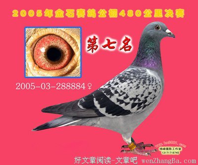 关于张先的名言