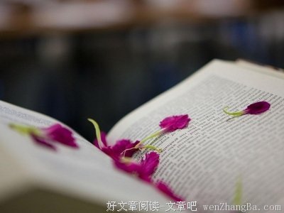 15条关于一致的经典语句