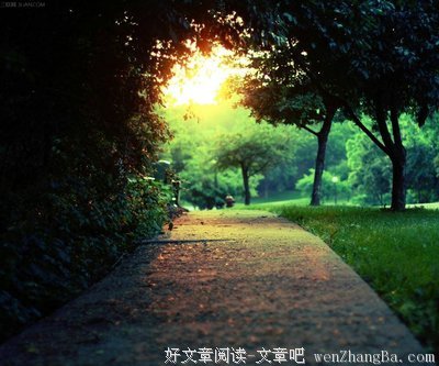 五柳的名句_关于五柳的名句