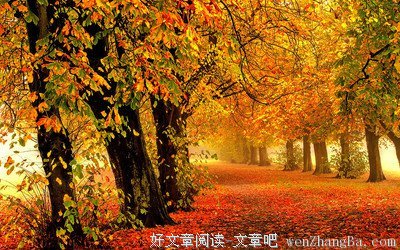 争奇斗艳的句子