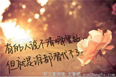 形单影只的句子