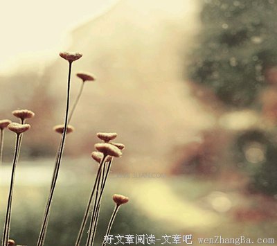 和平共处的名言_关于和平共处的名言