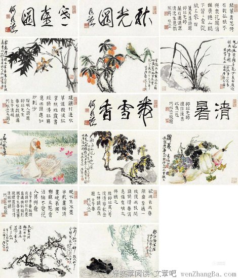 关于八哥的名言