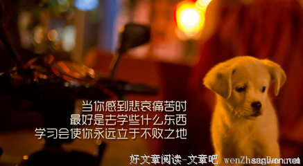 《你要去相信，没有到不了的明天》美文摘抄大全