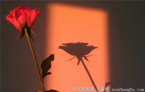 让步，是尊重，也是涵养！