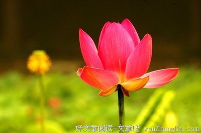 听不完的谎言，看不透的人心！