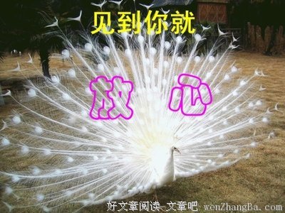 小川的名言_关于小川的名言