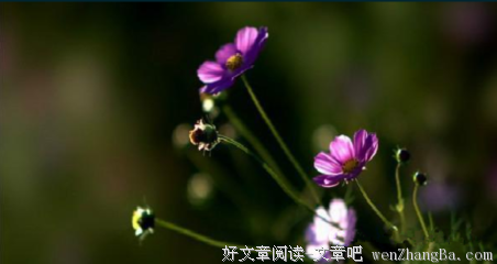 关于孔丘的语句