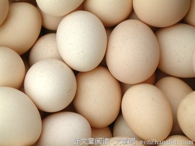 最全的柴鸡蛋经典句子