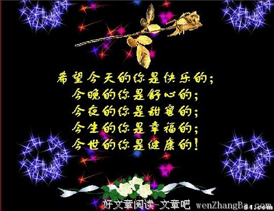最新的银小宝经典名句