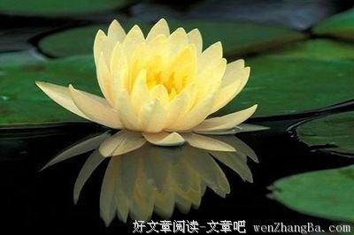 煞风景格言警句