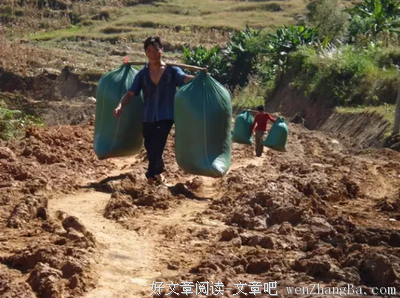 关于劳苦的座右铭