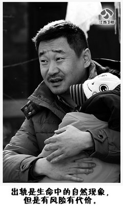 《离婚律师》经典语句大全