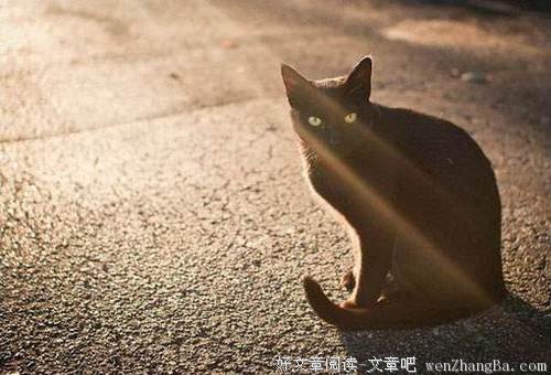 你越牛逼，感情就越纯粹