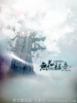 最全的《九国夜雪》小说摘抄