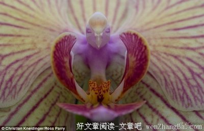 特立独行的语句摘抄_关于特立独行的语句