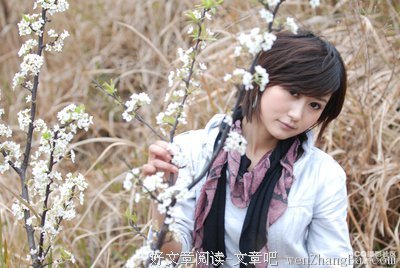 《美人宜修》经典的句子