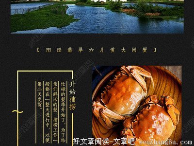描写黄大的经典句子