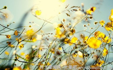 最新的《细雨喃喃 伽蓝雨》好段摘抄大全