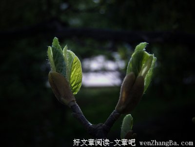 关系不乱的男人才是生命之光