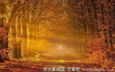 【宫平视听】中国阳光：秋 天