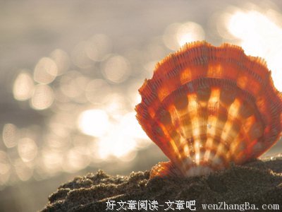 【声之形】请让我触碰到你的内心吧