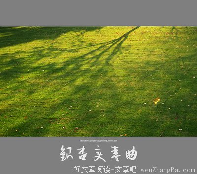 变奏曲