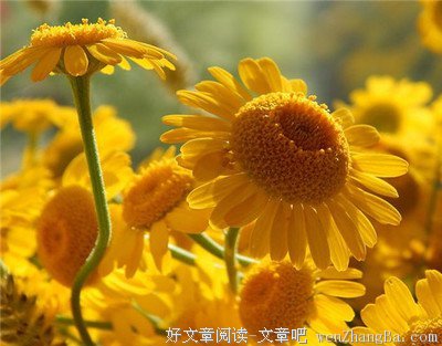 关于劫富济贫的唯美语录