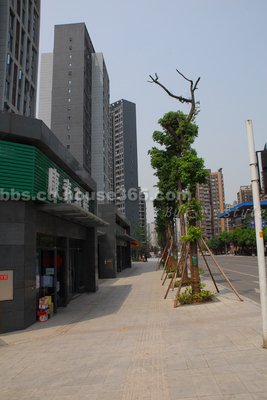 最全的《忘川》好段摘抄
