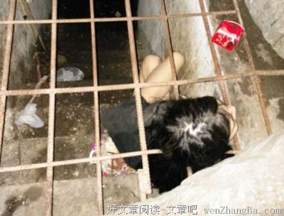 一位无能母亲的信：我的孩子被关铁笼24年，今天终于自由了……