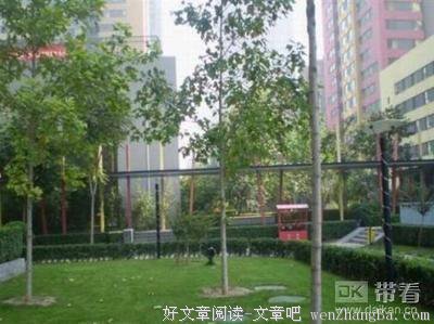【宫平视听】中国阳光：波澜不惊