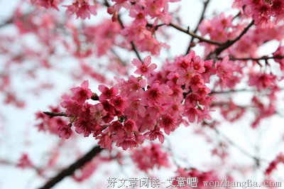 活得轻松，才能老得漂亮！