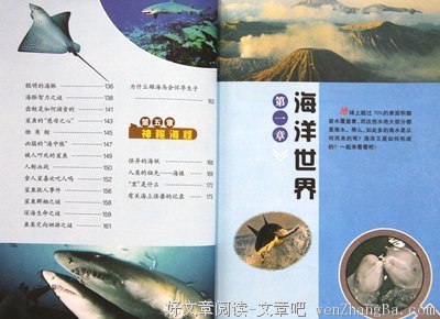 不要让我们的孩子通过书本和想象了解海洋