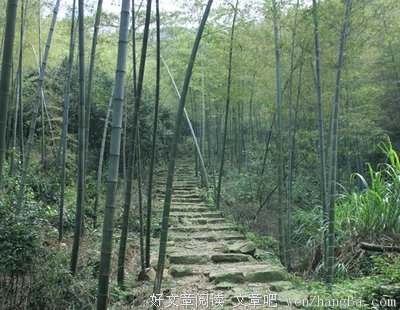 （周运）Alex 12星座一周运势（9.4—9.10）