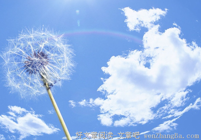 最经典的美国谚语经典名句