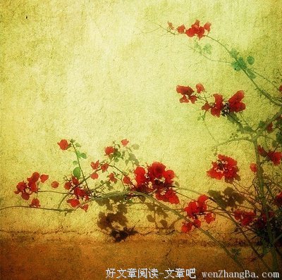 最经典的《人间有味是清欢》经典名句